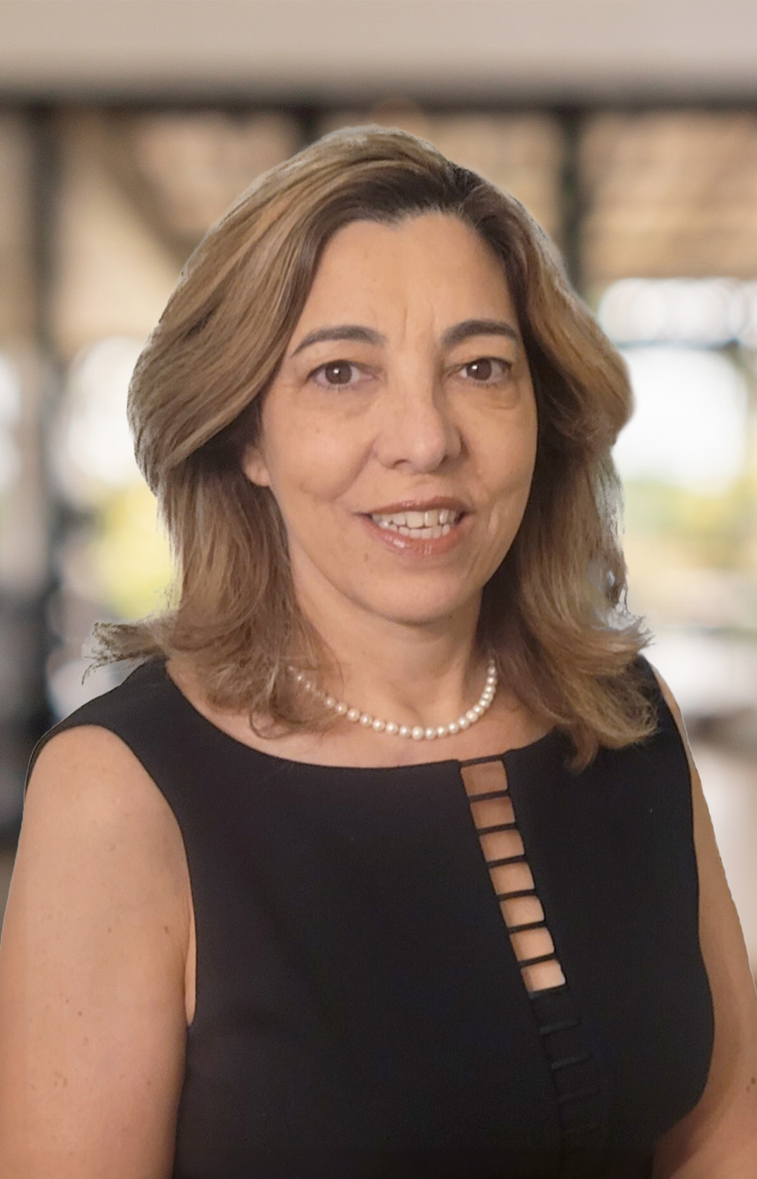 New Jersey family law attorney Rita Jerejian